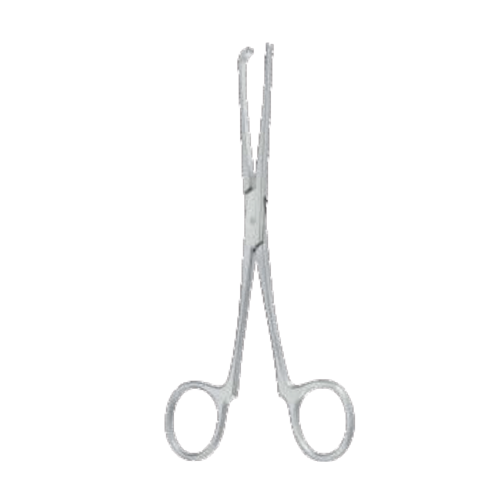 D'ASSUMPCAO_55-22816